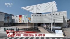 【千年典范向新行】宋锦：锦丝国色 岁月华章